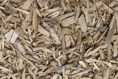 biomass boilers Letton